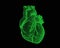 Green human heart digital wireframe isolated on dark BG