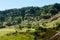 Green humid farm field in canyon of volcano Cape