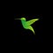 Green humming bird logo vector