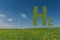 green hydrogen h2 letters hovers over a freh meadow with sky