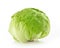 Green Iceberg Alcapucci lettuce