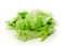 Green Iceberg Salad