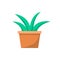 Green Indoor Plant in Clay Pot for Office Decor