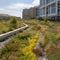 Green Infrastructure - Green Roof or Rain Garden