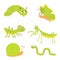 Green insect icon set. Mantis praying, grasshopper, butterfly, caterpillar, snail, worm. Cute cartoon kawaii funny character.
