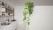 Green interior design concept background with copy space, foreground white wall with potted plant, minimal kitchen