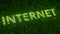 Green INTERNET word made with flying luminescent particles. Information technology related loopable 3D animation