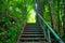 Green iron ladder in the forest