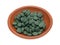 Green iron supplement tablets in a small bowl