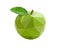 Green isolated apple low poly illustration on white background