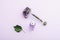 Green jade face roller on amethyst crystal and purple serum bottle. Moisturizer and skincare tools. Spa and wellness