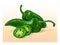 Green jalapeno pepper. Vector illustration of hot chili vegetable.