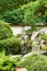 Green japanese garden