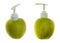 Green juicy apple with dispenser for soap or cosmetics on white isolated background.