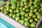 Green jujubes on wooden box in the fruit market Asian - Monkey Apple fruit