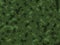 Green Jungle Army Camouflage Texture