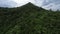 Green jungle greenery grass palm trees approaching peak dormant volcano aerial dynamic speed view
