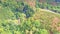 Green jungles and coffee plantation aerial