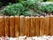 green Juniper in garden with half round split wooden log separation edge