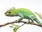 Green juvenile veiled chameleon  Made With Generative AI illustration