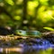 Green Keelback snake on jungle forest