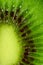 Green Kiwi Fruit