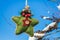 A green knitted star in Scandinavian style hangs on a branch with snow. Christmas toys.