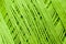 Green knitting thread texture, handiwork backdrop