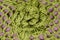 Green knitware background