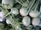 Green kohlrabi vegetable on a market