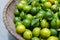 Green Kumquat In Basket.