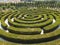 The green labyrinth or maze of boxwood bushesin the park