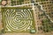 The green labyrinth or maze of boxwood bushesin the park