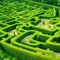 Green labyrinth. Plant maze. Garden. Aerial view of green labyrinth garden