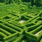 Green labyrinth. Plant maze. Garden. Aerial view of green labyrinth garden