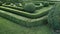 Green labyrinth of trimmed boxwood bushes