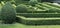 Green labyrinth of trimmed boxwood bushes