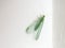 green lacewing insect animal (Chrysopa carnea