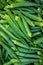 Green Ladies finger on the vegetable market - Okra, Abelmoschus esculentus, known in many countries as ladies` fingers or ochro.