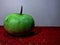 Green Lagenaria Vulgaris vegetable on the red table with white background.