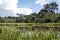 Green lake in the middle of Bolivian rainforest, Madidi national park in the Amazon river basin in Bolivia