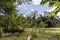 Green lake in the middle of Bolivian rainforest, Madidi national park in the Amazon river basin in Bolivia