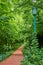 Green lamp post and brick path through a lush green forest in college campus