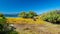 Green landscape with blue sky and blue sea