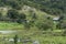 Green landscape of the countryside along the BR 324 highway