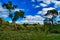 Green landscape in Dutchmans Stern, Flinders Range, South Australia.