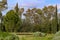 Green landscape - Greek trees including populars against a blue sky with slightly stormy clouds