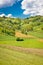 Green landscape hill with vineyards and cottages