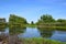 Green landscape, lake near Kern River Parkway, Bakersfield, CA.