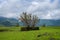 Green Landscape at Malshej Ghat, India